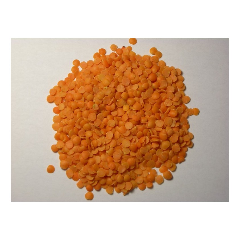 Masoor Dal
